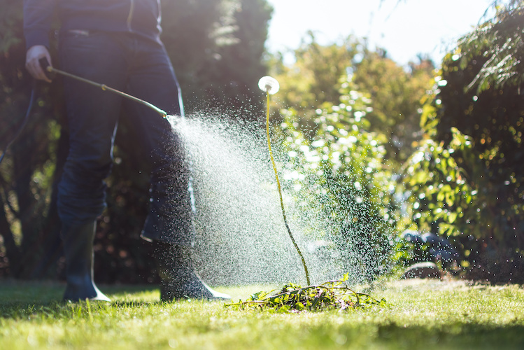 Prepare and Apply Chemicals to Control Pest Weeds and Diseases